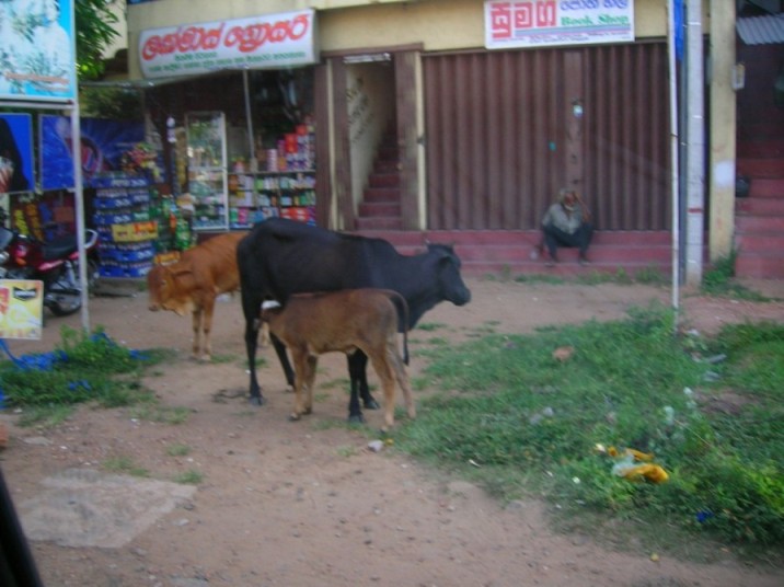 19 Hikkaduwa.jpg